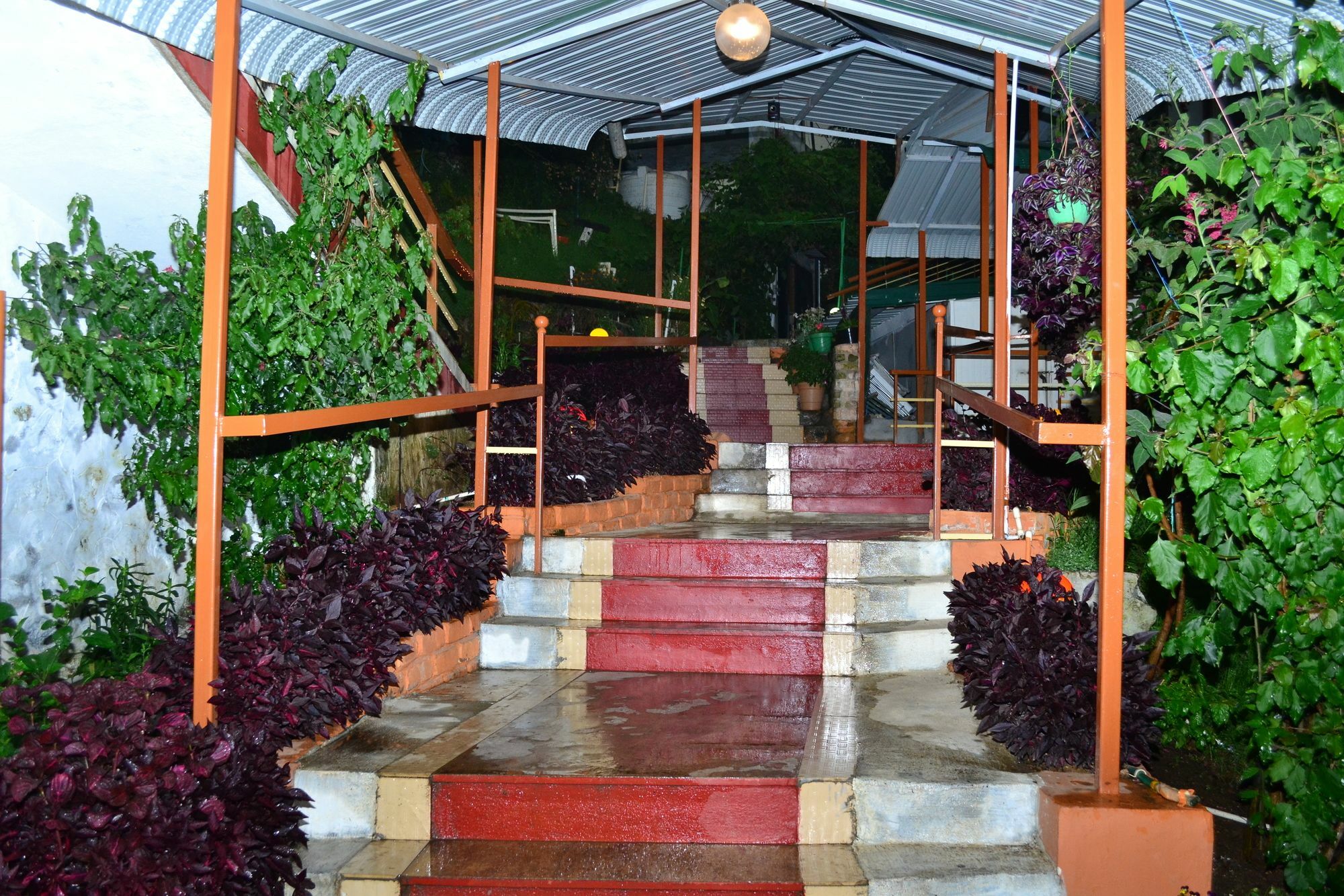 Kodai Sunshine Resort Kodaikanal Exteriér fotografie